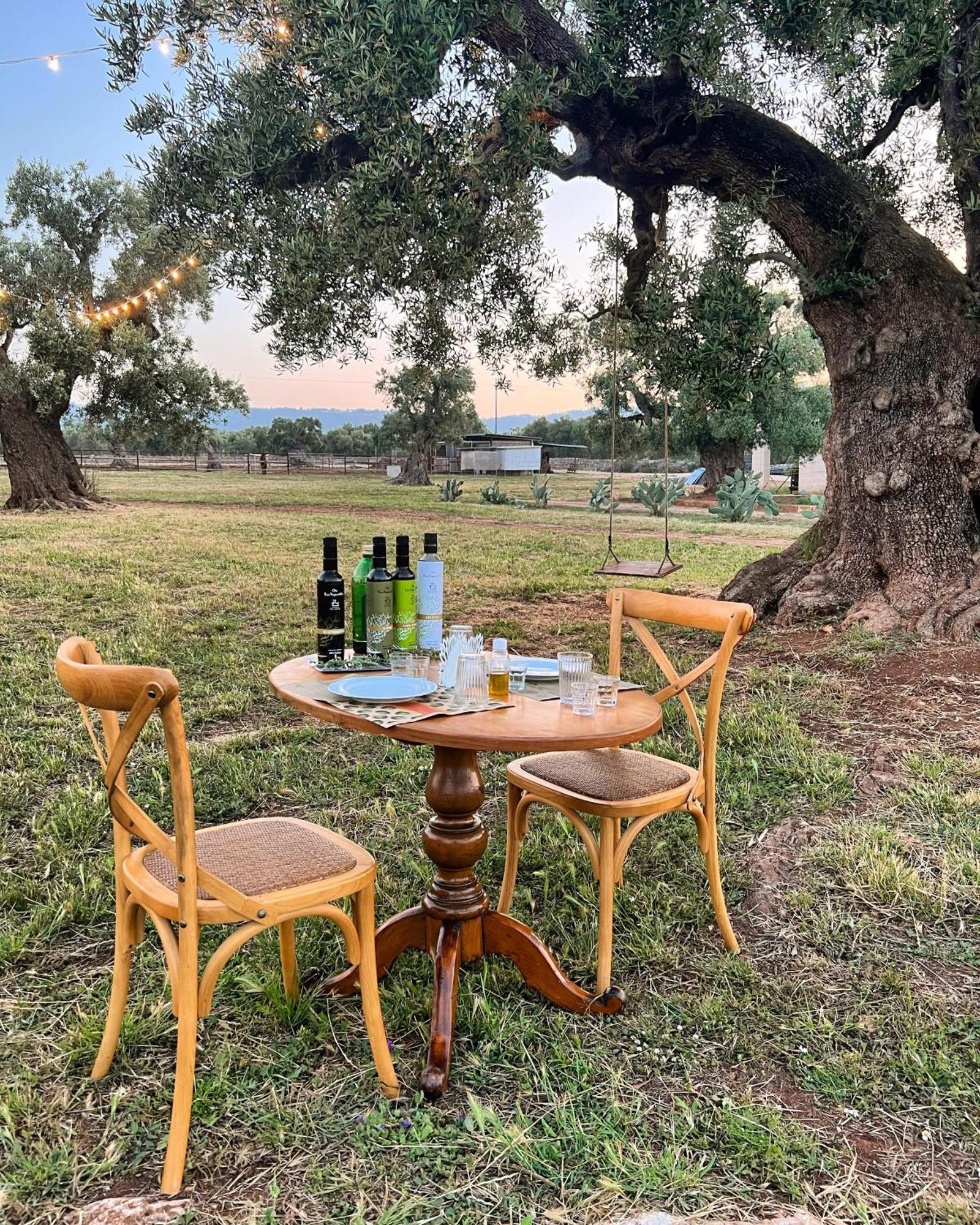Masseria Salamina ファザーノ エクステリア 写真
