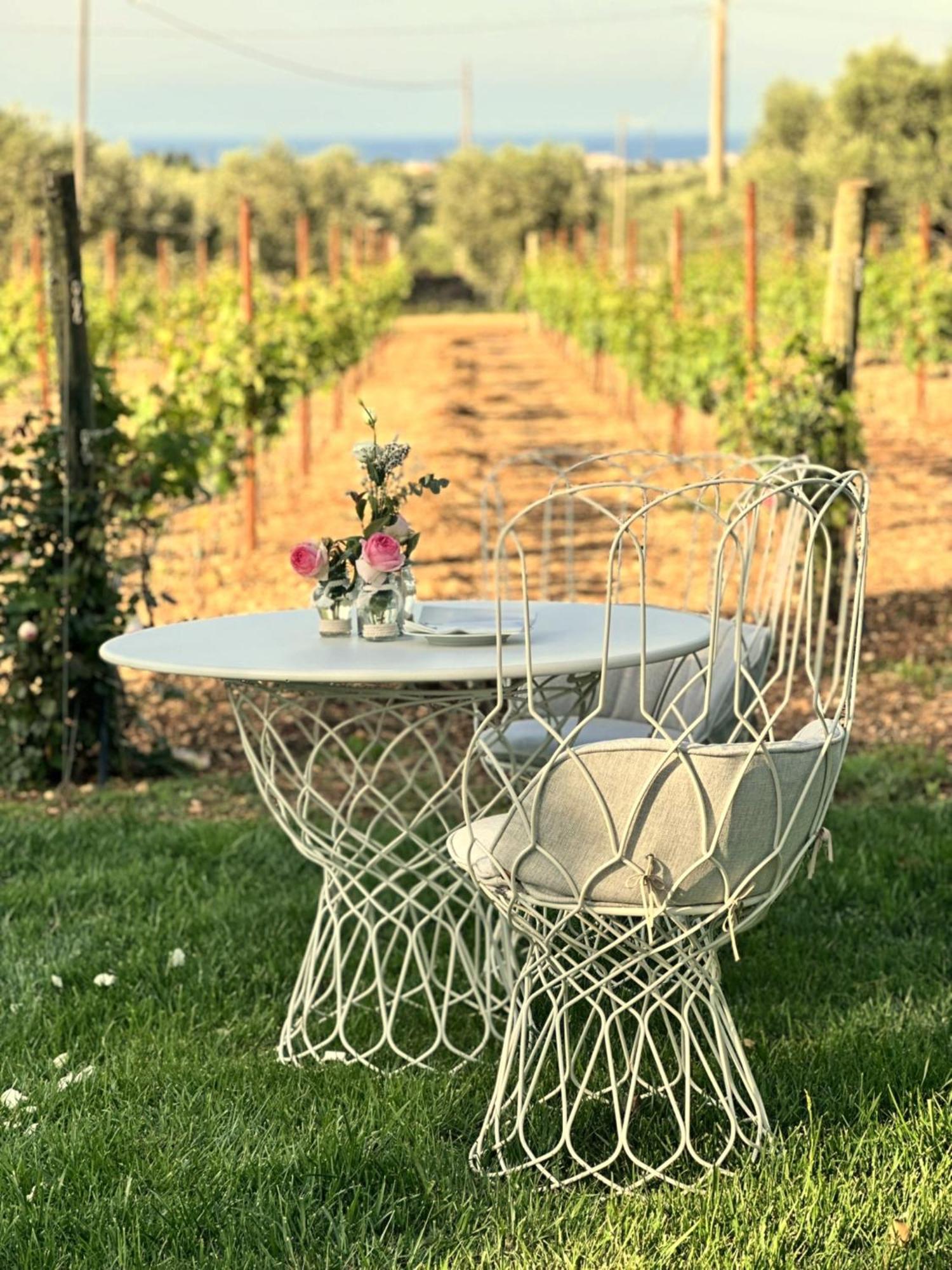 Masseria Salamina ファザーノ エクステリア 写真